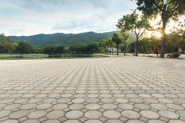 Best Residential Paver Driveway  in Sumter, SC